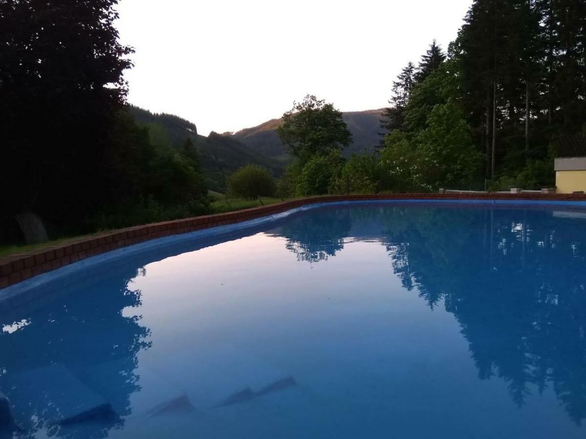 Pool, Pokale, Sauna, Billard, Kirche u. viel Natur Vordernberg Exterior foto